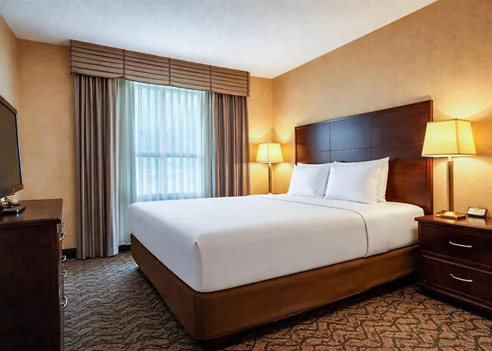 Comfort Inn & Suites Ambassador Bridge